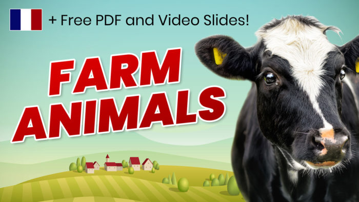 Farm animals in french