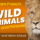 Wild animals